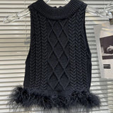 Feather cropped knit (black) top