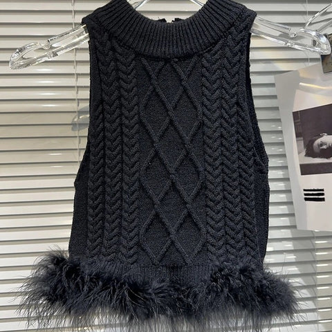 Feather cropped knit (black) top